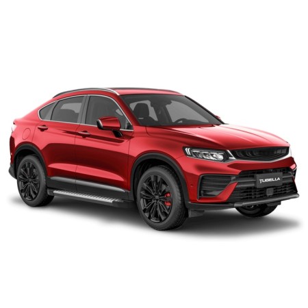 The thresholds of the "BMW-Style Circle" Rival for Geely Tugella I 2020-n.-1