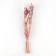 Bouquet of dried flowers "Attraction", 52 × 12 × 8 cm
