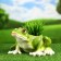 Pot "Frog" 14x35x25cm
