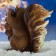 Garden figure "Squirrel with nuts" 25x25x11cm