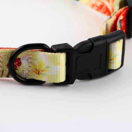Set "Flowers", fastener - fastx, leash 2 m and collar 28-46 cm-5