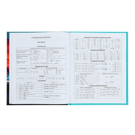 Diary 1-11 Grade Strange Land, 48 sheets, hard cover, matte lamination, selective varnish, offset block-8