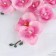 Artificial flowers "Multiflore Falenopsis" 6x37 cm, pink mix