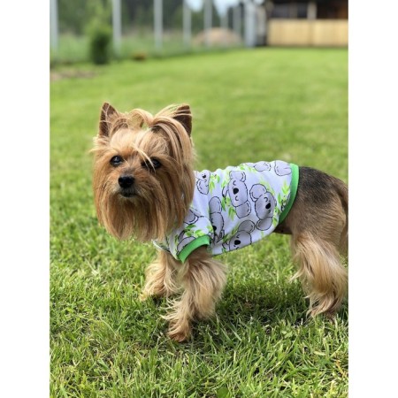 T-shirt with cuffs for dogs "Koala", size 20 (ds 20 cm, og 30-32 cm), cotton 1