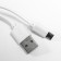 Board lamp 16817/1 LED 5W USB white 18.8x8.5x36.5 cm Risalux
