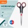 Chancellery scissors 17 cm, plastic handles, in a cardboard box