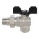 Ball barbar stout, full -pass, 1/2 ", internal/outer thread, American, butterfly
