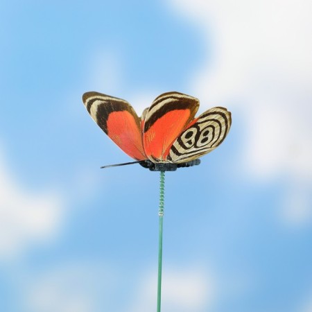 Skewer glowing "Vaisy butterfly" 6.5x25cm, mix-1