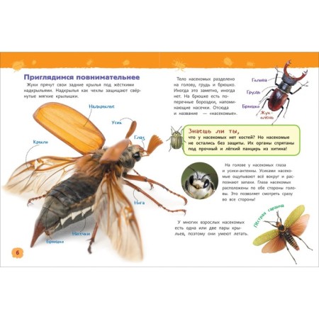 Encyclopedia for kindergarten "insects"-3