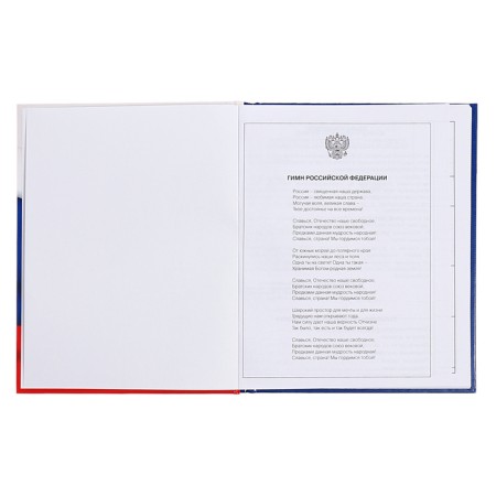 Diary for grades 5-11, 48 sheets of "Russian schoolchild No. 4", hard cover, glossy lamination, block 60 g/m2-3