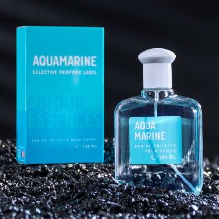 Tuale water Male Color Ssncs Aquamarin, 100 ml (based on Acqua di Gio (G.armani)