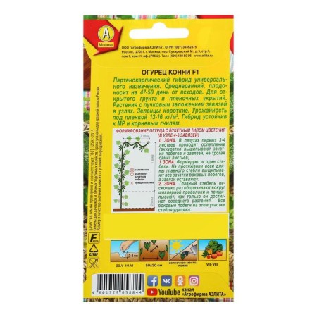 Cucumber seeds "Connie" F1, medium early, parthenocarpic, 0.25 g (10pcs)-3
