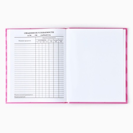 School diary for grade 1-11, in a solid cover, 40 l. "XO"-4