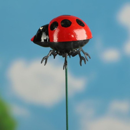 Plug "God's ladybug Daiton" 40cm-2