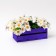 Rhelech box No. 1 purple, 23.5 x 11.4 x 9 cm