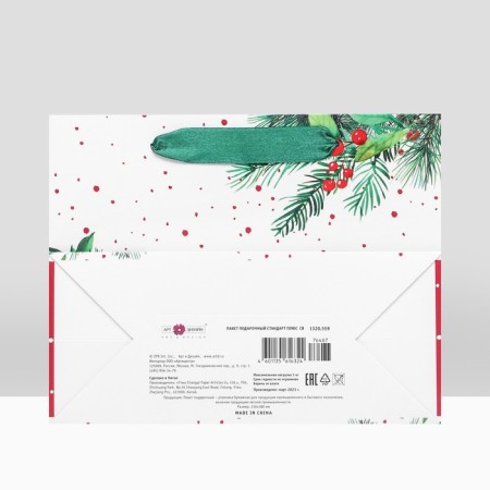 Gift package "Snegier for the holiday", 23 x 17.8 x 9.8 cm-3