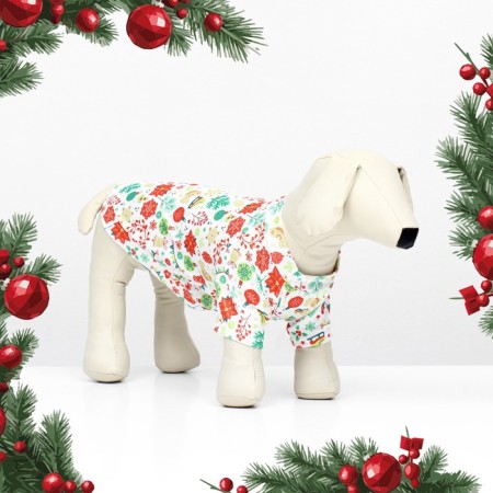 Folder for animals "New Year's carousel", size XS