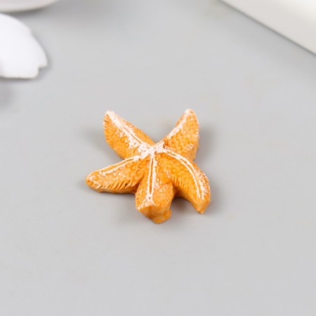 Figure for Florarium Polystone "Sea Star" mix 2.5x2.5x0.8 cm-2
