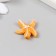 Figure for Florarium Polystone "Sea Star" mix 2.5x2.5x0.8 cm