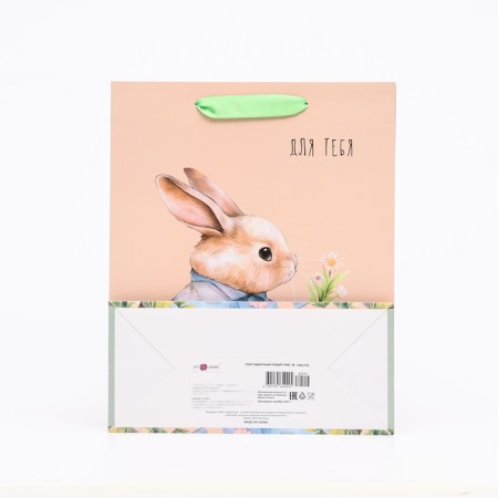 Gift package "for you", 26 x 32 x 12 cm-1