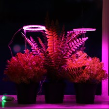 LED phytoslight, 4 watts, 5 c, in a pot, USB, multi -pointral, 2 circles
