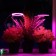 LED phytoslight, 4 watts, 5 c, in a pot, USB, multi -pointral, 2 circles