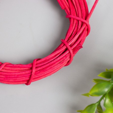 Ring Roadan for making Fuchsia Dreams Cathesis D = 10 cm-1