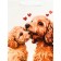 Gift vertical "Puppy", 23 × 27 × 11.5 cm