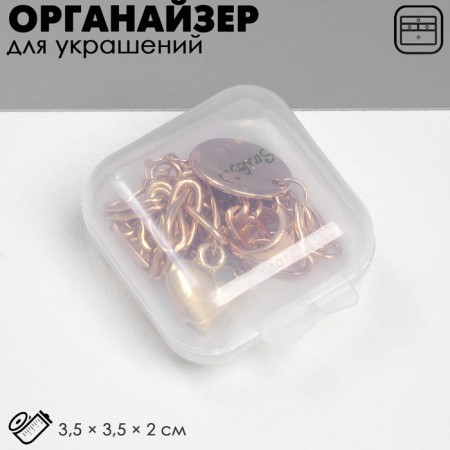 Organizer for storage of jewelry "Case", 3.5 × 3.5 × 2 cm, the color is transparent