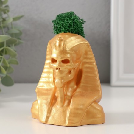 Kashpo concrete "Skeleton of the pharaoh" with moss 10*8.5cm gold (moss green stabilized)-3