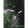 Notebook subject "Magic", 48 sheets in the cage "Informatics", cover shaking cardboard, cold foil, twin varnish, block offset
