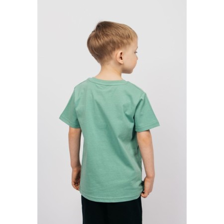 T -shirt for a boy, height 128 cm, color sage-1