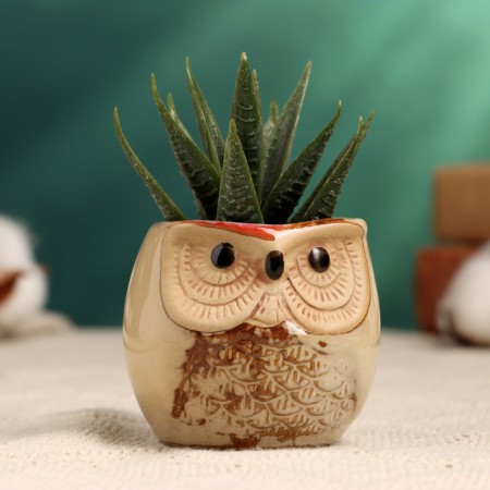 Pot "Owl Ava" 6x6x6.5cm, mix-1