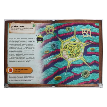 4D encyclopedia in augmented reality "World under a microscope"-4