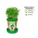 Set for creativity "Pot" "Cross-Salates Useful"