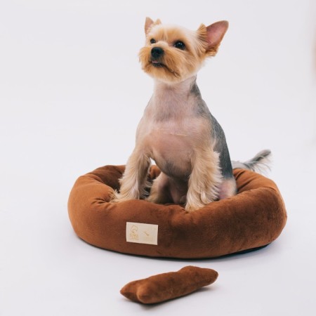 A bed with a bone, 45x35x11 cm, brown-7