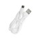 The BYZ U40, 1 USB, 18 W, 5 A, USB cable - Type -C, 1 m, pd, white