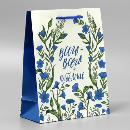 Gift Package Laminated, Packaging, "Just All", MS 18 x 23 x 8 cm-1