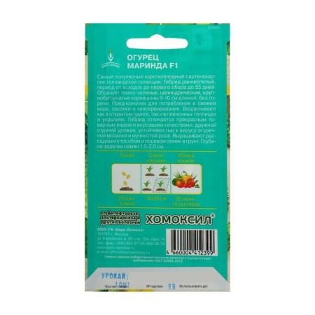 Seeds of the cucumber "Marinda" F1, parthenocarpic, 10 pcs.-3