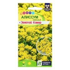 Flower seeds Alissum 