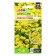 Flower seeds Alissum "Golden Carpet", MN, CP, 0.1 g