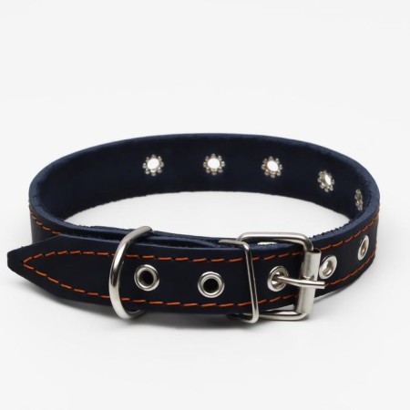 The collar is a single-layer leather, dimensionless, 56 x 2.5 cm, Osh 17-44 cm, blue-1