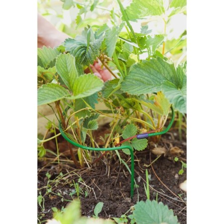 Builder for strawberries, d = 15 cm, h = 25 cm, leg d = 0.3 cm, metal, green, Greengo-1