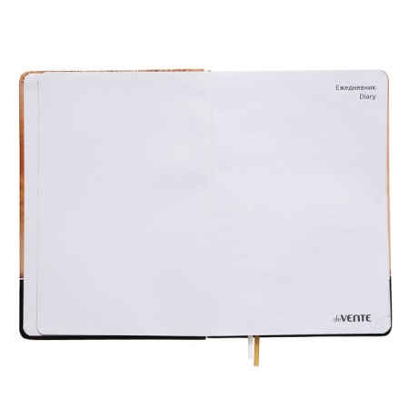 Leduced Diary A5, 160 sheets, Devente. Wild CAT, solid cover of artificial leather with foam rubber, color cut, block 70 g/m2, orange-2