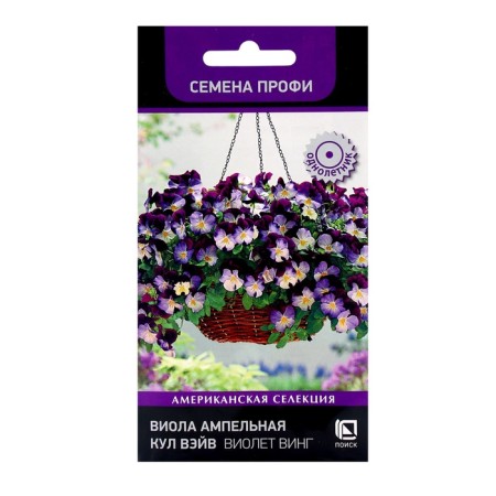 Flowers Viola Empel Kula Vayv Violet Wing, 5pcs