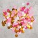 Confetti "Dawn", 20 grams