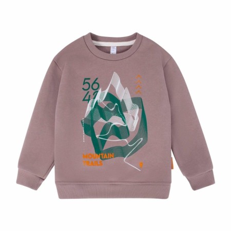 Sweatshirt for boys, height 104 cm, brown color-1