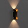 Facade lamp "Elegant", FSD-090, 6 W, 3000K, IP65, 220 V, metal, black and golden 1008543