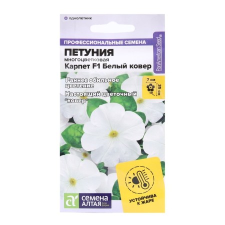 Flowers of Petunia Carpet "White Carpet", this. ALT, c/n, 10 pcs
