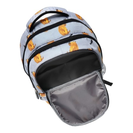 Youth backpack 42 x 27 x 19 cm, Erich Krause ActiveLine Ergoback 22l, Capybara-8